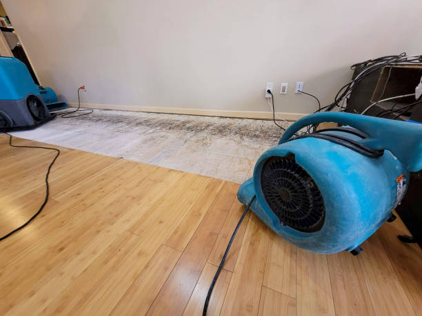 Professional Water Damage Repair technician working in Pennsylvania, PA
